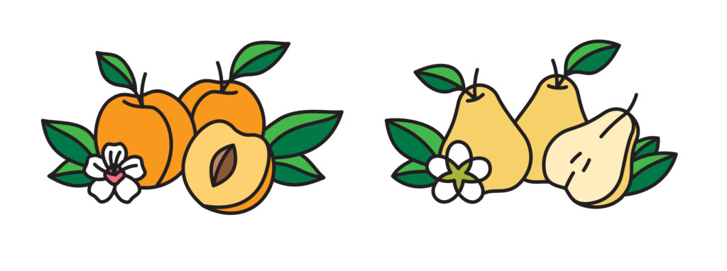 Karolinenhof farm, ilustrácia vinetu